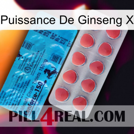 Ginseng Power X new14